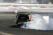 Ken Block Gymkhana Invitational 2010