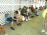 DSCN6726 Th