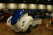 MECA AutoFest 2010
