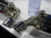 IMG 7077 Th