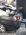 Z IMG 7109 Th