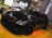 SEMA Show 2010