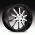 TSW_Willow