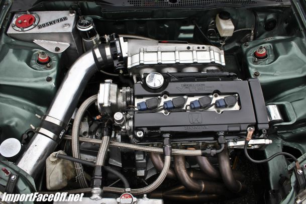 Import Face-Off