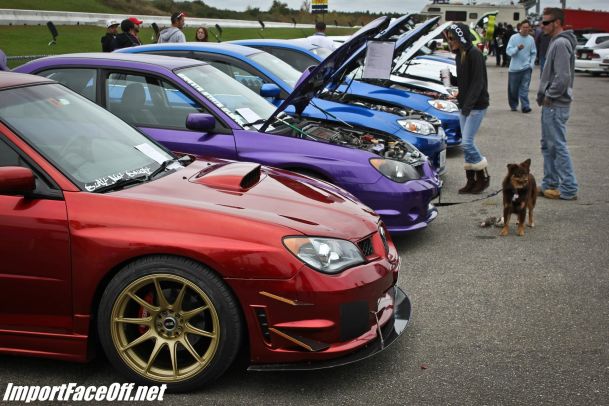 Import Face-Off