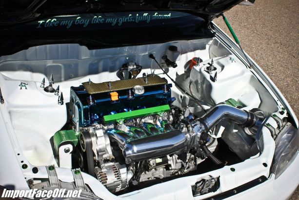Import Face-Off: Tucson, AZ