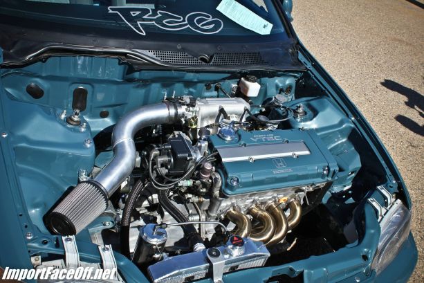 Import Face-Off: Tucson, AZ